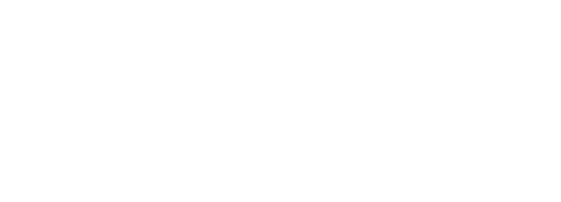Stadt Offenburg Logo weiß